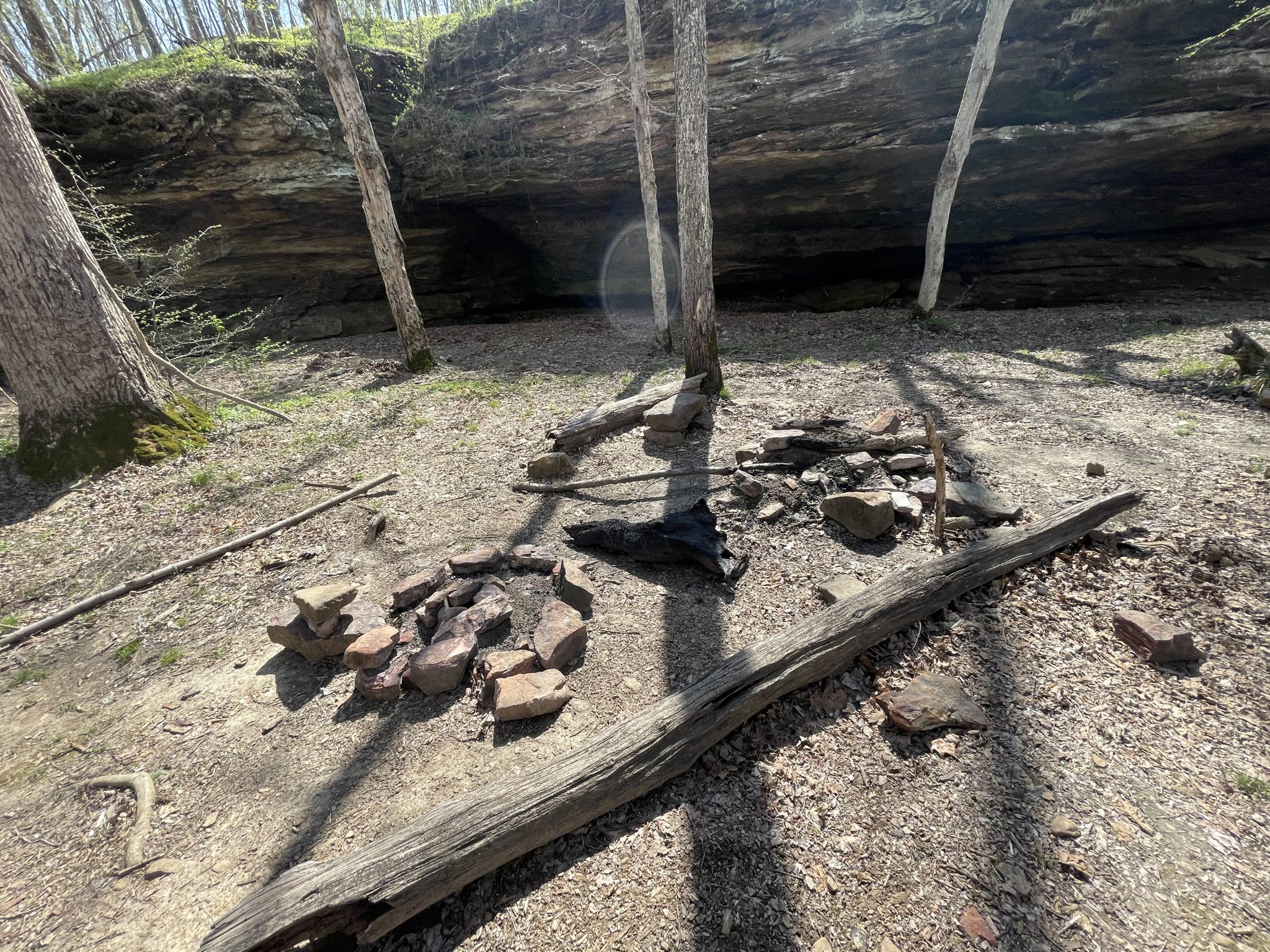 Panther Den Wilderness The Marvelous Camp