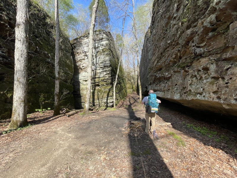 Panther Den Wilderness